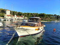 Drvena  pasara