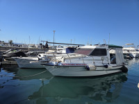 Patrol Antares 690