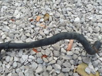 Crijevo rashladne tekućine 1J0122051H