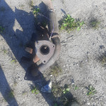 DAEWOO LANOS ISPUŠNA GRANA,FLEKSIBILNA CIJEV,LAMBDA SONDA