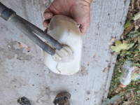 posuda antifriza daewoo tico