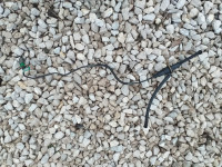 Renault Laguna II cilindar kvačila