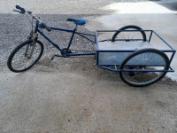 bicikl sa prikolicom/trokolica