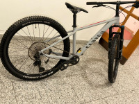 Canyon, 29 coli, S rama, 650 €