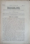 Dragoljub: God. I, broj 11/1867