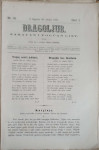 Dragoljub: God. I, broj 13/1867