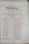 Dragoljub: God. I, broj 14/1867
