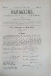 Dragoljub: God. I, broj 19/1867