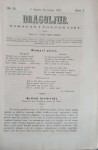 Dragoljub: God. I, broj 21/1867
