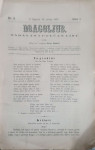 Dragoljub: God. I, broj 3/1867