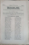 Dragoljub: God. I, broj 31/1867