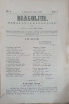 Dragoljub: God. I, broj 6/1867