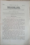 Dragoljub: God. I, broj 7/1867