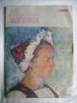 Ilustrirani Vjesnik broj 18-19 iz 1945. godine - nekompletan + reprodu
