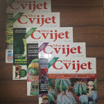 Lot od 8 časopisa Moj Cvijet 2004./2005.