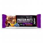 Protein Nuts