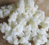 Kefirna zrnca, domaći kefir