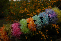 Lastici za kosu lot od 10500 kom, Nakit na veliko, zamjena