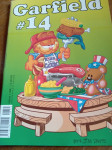 GARFIELD