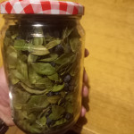 Mirta, suhi listovi i bobice 20g-moguca zamjena zacina za stripove!