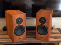 Dayens Studio Monitor