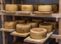 autohtoni domaci ovcji sir