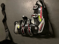 Nordica pancerice