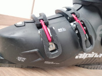 Pancerice Wedze i Alpina