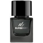 Burberry Mr. Burberry EDP za muškarce 50 ml