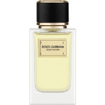 Dolce and Gabbana Velvet Vetiver parfemska voda 100ml