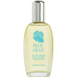 Elizabeth Arden Blue Grass Eau De Parfum Spray 100ml
