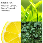 Elizabeth Arden Green Tea Eau Perfumee 100ml Spray Honey Drops Crema