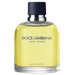 Herenparfum Dolce & Gabbana EDT Pour Homme 200 ml