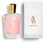 Orlov Paris Burning Desire