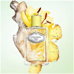 Prada Infusion De Gingembre EDP 100ml