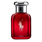 Ralph Polo Red