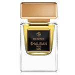Shauran Patchouli Vision