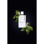Van Moncler Pour Homme 100 ml Eau de Parfum - muška mirisna nota