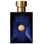 Versace Dylan Blue toaletna voda sprej 100ml