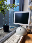 Apple iMac G4 - 700MHz - 15” - kompletno restauriran