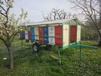 AŽ košnice sa pčelama i prikolicom za transport