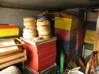 Košnice DB cca 40 kom. sa po 3 polumedišta za svaku i LR 5-6 kom. prod