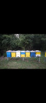 Pčele sa košnicama