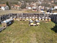 Prodaja pčela, LR okviri, SD županija, Proložac