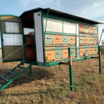 Prodajem pčelarski kontejner.