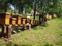 HITNO PČELARSKU LR OPREMU I ODLIČNU LOKACIJU ZA  PČELARENJE