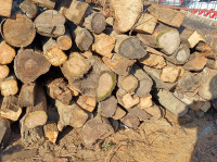 Drva za ogrijev