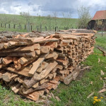 Drva Joha / Vrba metrice / Drva za ogrijev