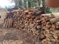 Prodaja drva za ogrijev