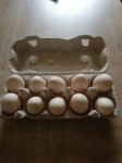 Prodajem jaja